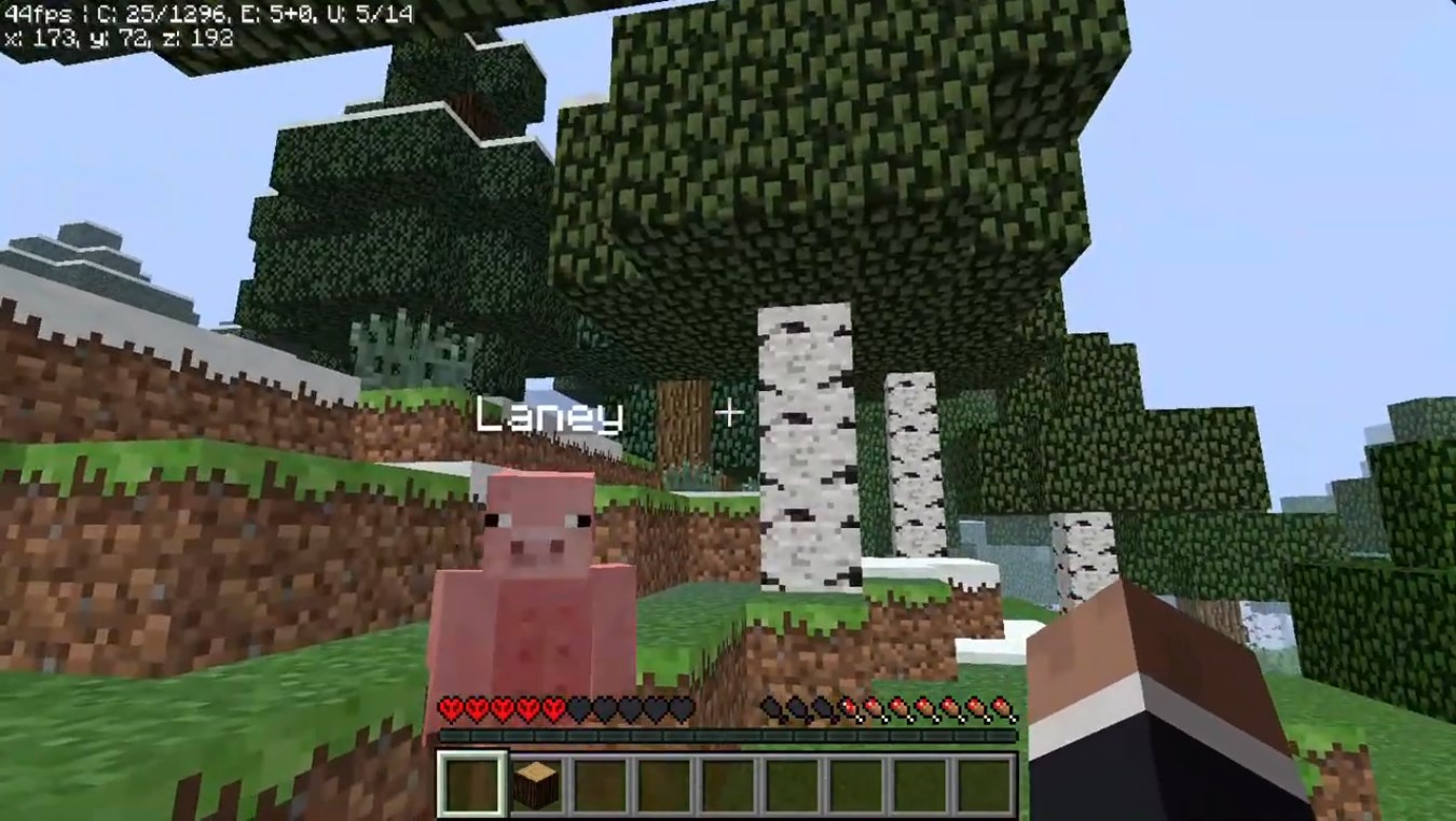 Players playing together in Minecraft